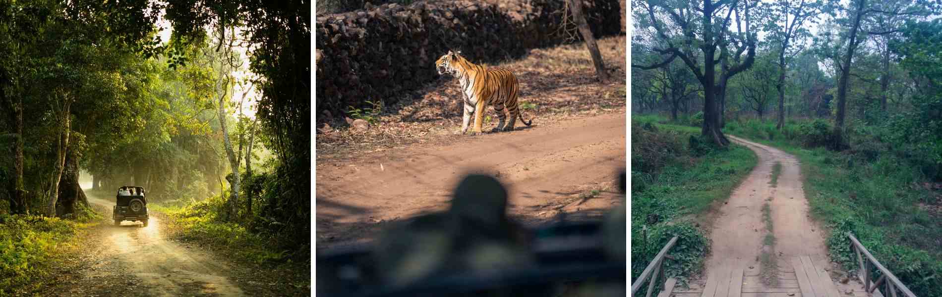 corbett national park jeep safari