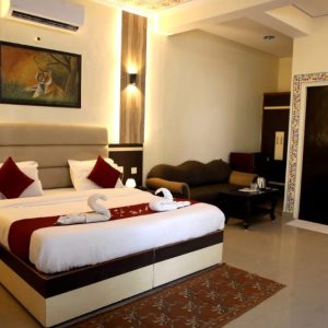 deluxe room ananta palace