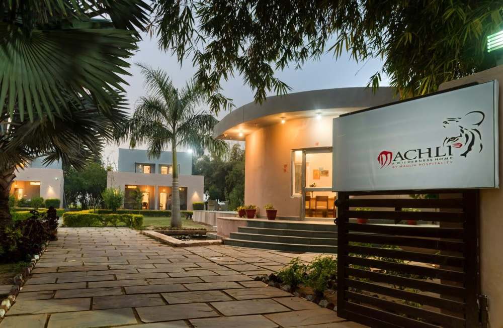Machli A Wilderness Home Ranthambore