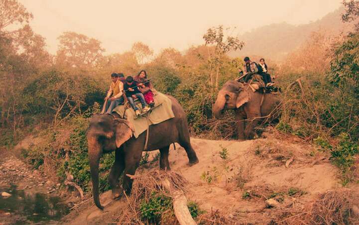 activities in jim corbett