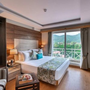 family room cygnett hotel nainital