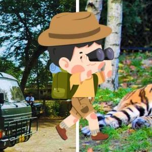Ranthambore canter safaro booking