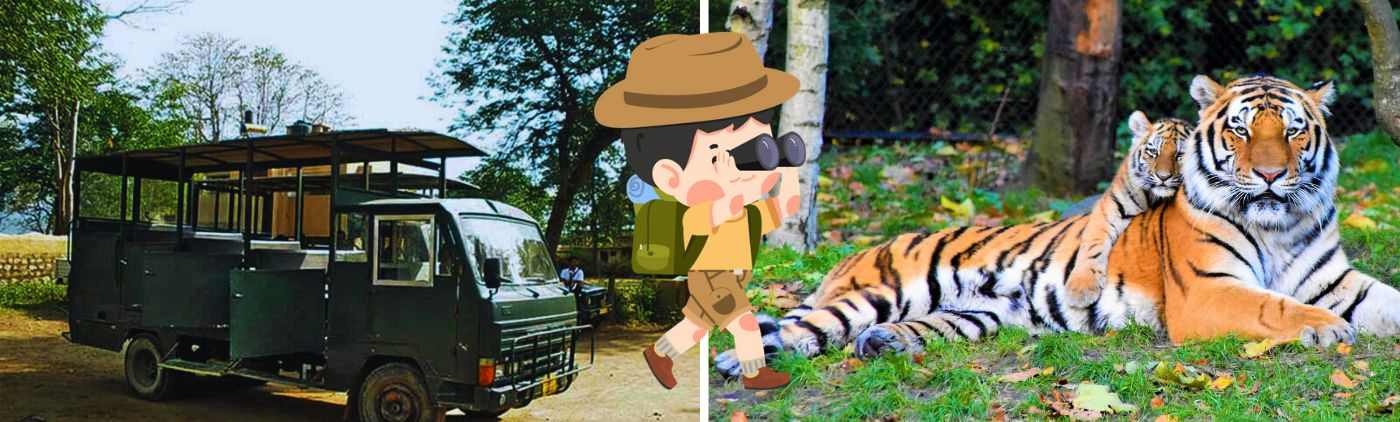 Ranthambore canter safaro booking