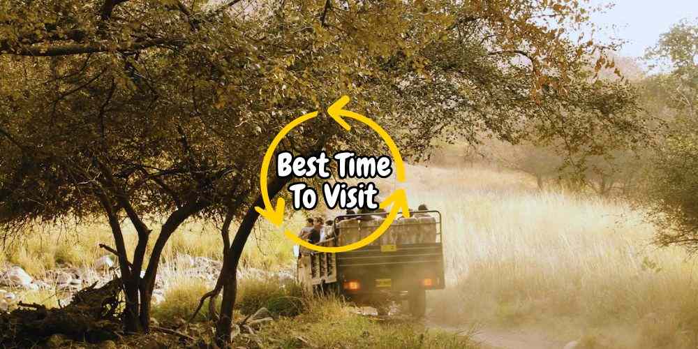Best Time to Visit Ranthambore: Tiger Sighting Chances