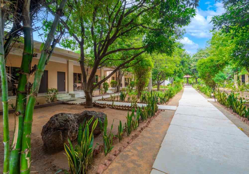 The-Pugmark-Resort-ranthambore-Premier-Cottage-outside-view