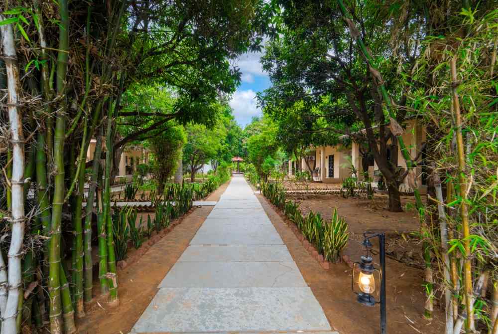 The-Pugmark-Resort-ranthambore-Premier-Cottage-over-view
