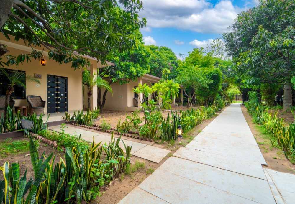 The-Pugmark-Resort-ranthambore-Premier-Cottage-with-Sit‑Out