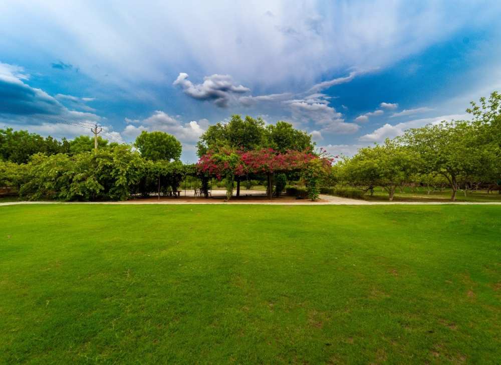 The-Pugmark-Resort-ranthambore-green-area