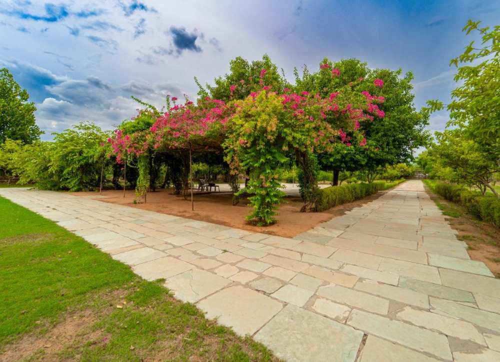 The-Pugmark-Resort-ranthambore-green-lawn-area