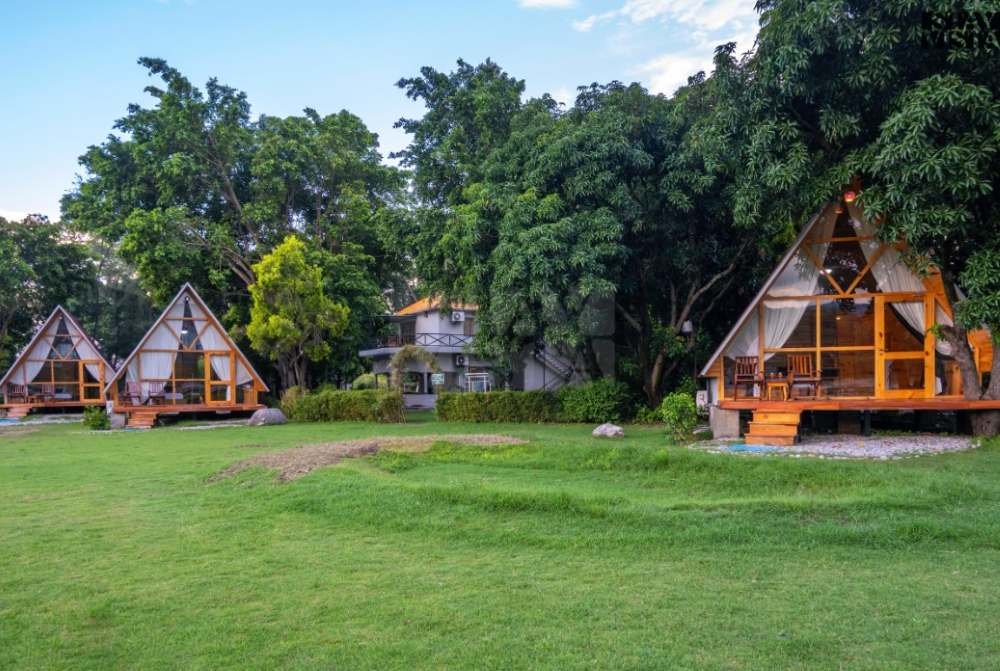Tarangi-Resort-Spa-Jim-corbett-resort-pine-cottage-lawn-view